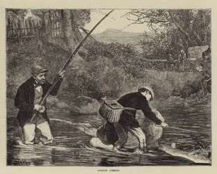 Salmon Fishing